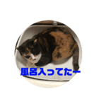 ゆずとちろ（個別スタンプ：2）