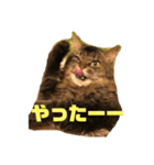 ゆずとちろ（個別スタンプ：5）