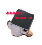 かれんスタンプ③（個別スタンプ：14）