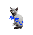 らむのせかい（個別スタンプ：6）