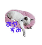 らむのせかい（個別スタンプ：8）