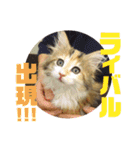 みー太くんの日常③（個別スタンプ：12）