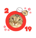 みー太くんの日常③（個別スタンプ：17）