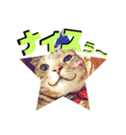 みー太くんの日常③（個別スタンプ：23）