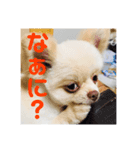 朔ちゃんすたんぷ+α（個別スタンプ：2）
