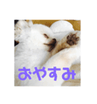 朔ちゃんすたんぷ+α（個別スタンプ：5）
