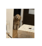 くうちゃんもうすぐお姉ちゃんなる（個別スタンプ：4）