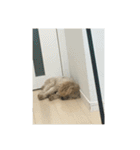 くうちゃんもうすぐお姉ちゃんなる（個別スタンプ：12）