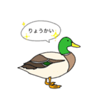 あにまるたちのスタンプ（個別スタンプ：8）