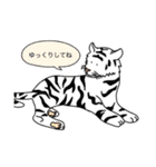 あにまるたちのスタンプ（個別スタンプ：32）