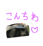 かわいいスタンプPart1（個別スタンプ：7）