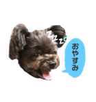 こたろです（個別スタンプ：2）