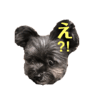 こたろです（個別スタンプ：5）