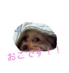 それ行け、スキッパー（達）（個別スタンプ：9）