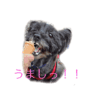 それ行け、スキッパー（達）（個別スタンプ：13）
