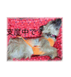 それ行け、スキッパー（達）（個別スタンプ：14）