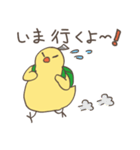 かわいいヒヨコさん（個別スタンプ：5）