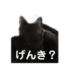 モノクロねこ。（個別スタンプ：7）