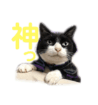 モノクロねこ。（個別スタンプ：27）