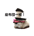 モノクロねこ。（個別スタンプ：35）