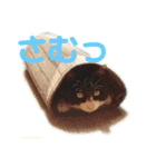 モノクロねこ。（個別スタンプ：39）
