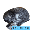 気ままなそら1（個別スタンプ：3）