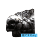 気ままなそら1（個別スタンプ：5）