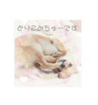 チワワのLilyとうさぎのmimi3（個別スタンプ：6）