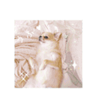 チワワのLilyとうさぎのmimi3（個別スタンプ：14）