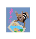 MUGISTAMP1（個別スタンプ：6）