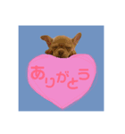 MUGISTAMP1（個別スタンプ：7）