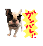えまえまゆず（個別スタンプ：19）