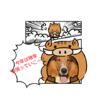 ラフコリーと仲間達冬編（個別スタンプ：2）
