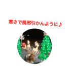 ラフコリーと仲間達冬編（個別スタンプ：7）
