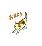 (株)ねこさんぽスタンプ第一弾（個別スタンプ：1）