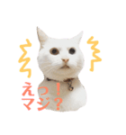ラム凛フクたらこスタンプ（個別スタンプ：4）