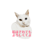 ラム凛フクたらこスタンプ（個別スタンプ：7）