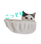 ラム凛フクたらこスタンプ（個別スタンプ：8）