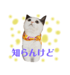 ラム凛フクたらこスタンプ（個別スタンプ：10）