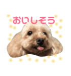 ラム凛フクたらこスタンプ（個別スタンプ：11）