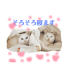 ラム凛フクたらこスタンプ（個別スタンプ：13）