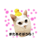 ラム凛フクたらこスタンプ（個別スタンプ：16）