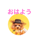 アンジーと仲間たち（個別スタンプ：1）