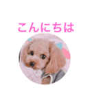 アンジーと仲間たち（個別スタンプ：2）