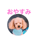 アンジーと仲間たち（個別スタンプ：3）