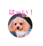 アンジーと仲間たち（個別スタンプ：6）