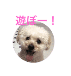 アンジーと仲間たち（個別スタンプ：7）