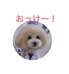 アンジーと仲間たち（個別スタンプ：8）