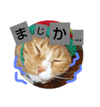 れんちゃんぽんめん（個別スタンプ：23）