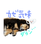 れんちゃんぽんめん（個別スタンプ：26）